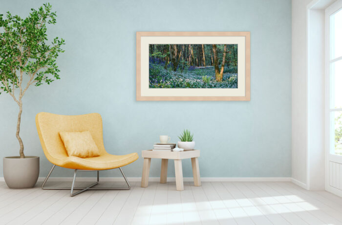 Philgrafic Photographic Prints